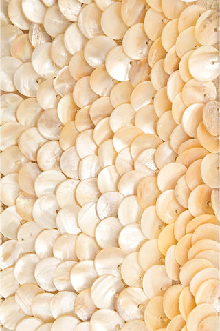 Mother of Pearl Shell Bag