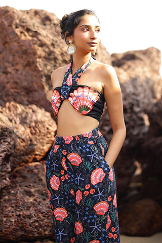 Midnight Seashell Set