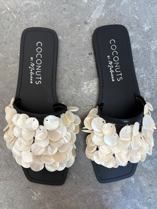 Coconut Shores Slides