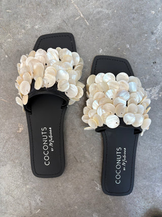 Coconut Shores Slides