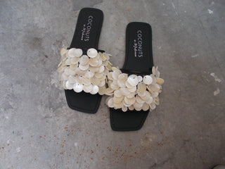 Coconut Shores Slides