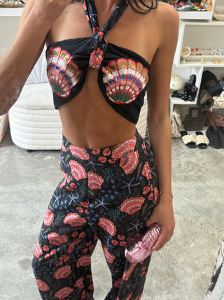 Midnight Seashell Set