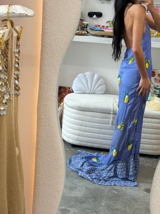 Limoncello Beaded Silk Slip Dress